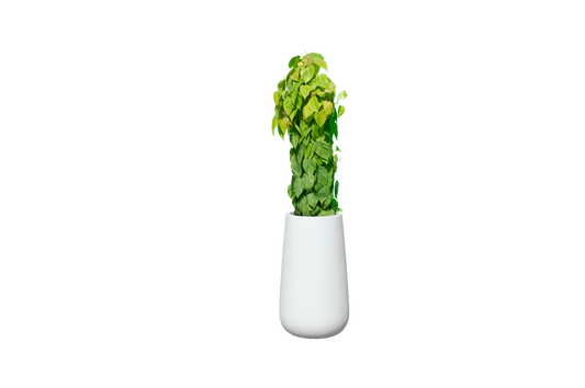 Saigon Round Tapered Planter