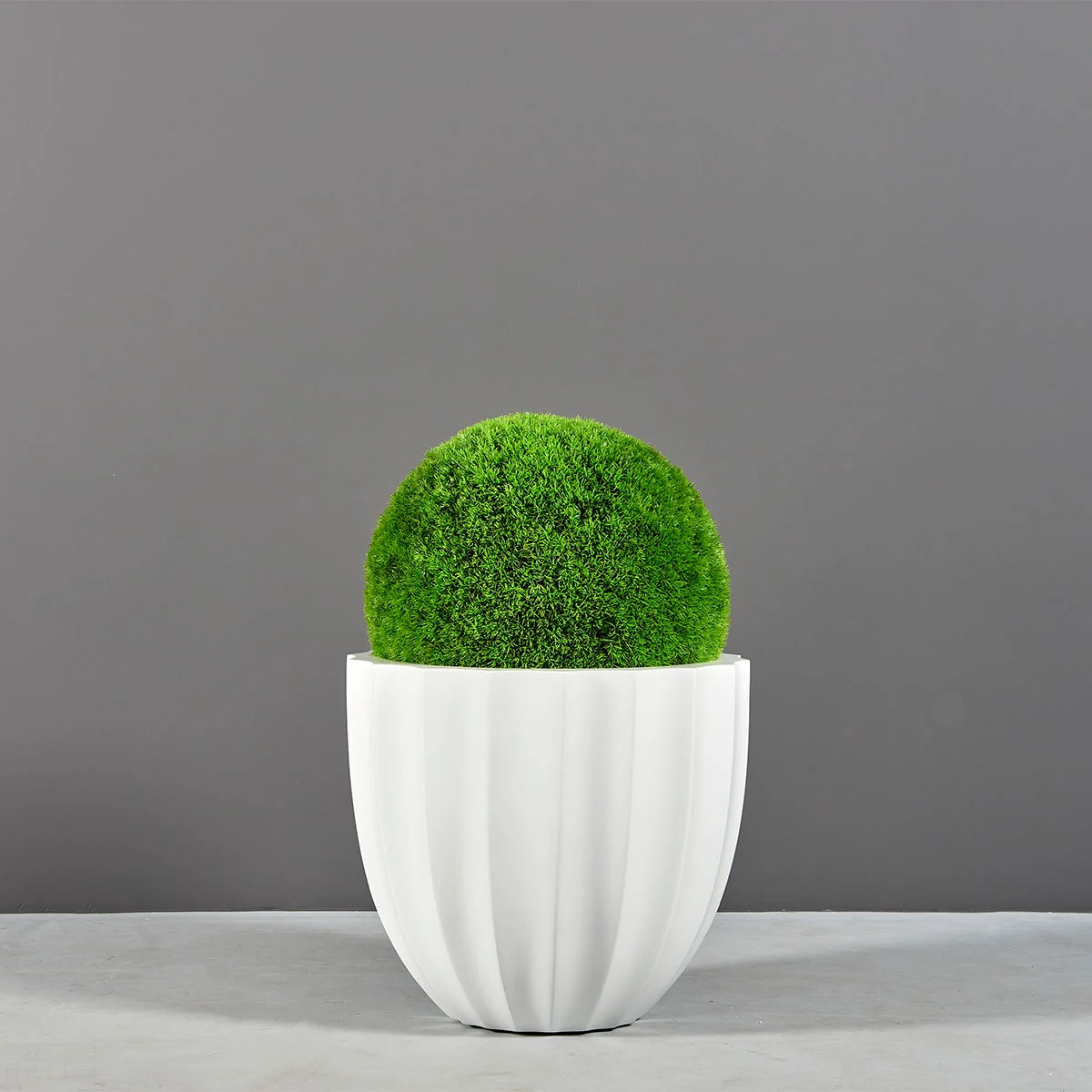 Santa Barbara Low Fluted Round