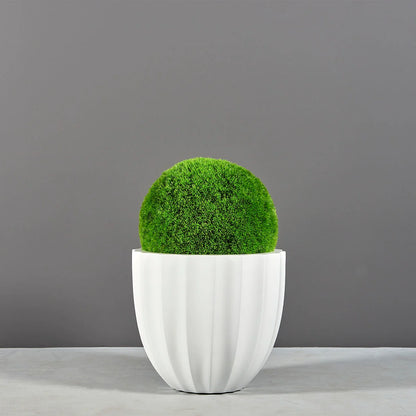Santa Barbara Low Fluted Round