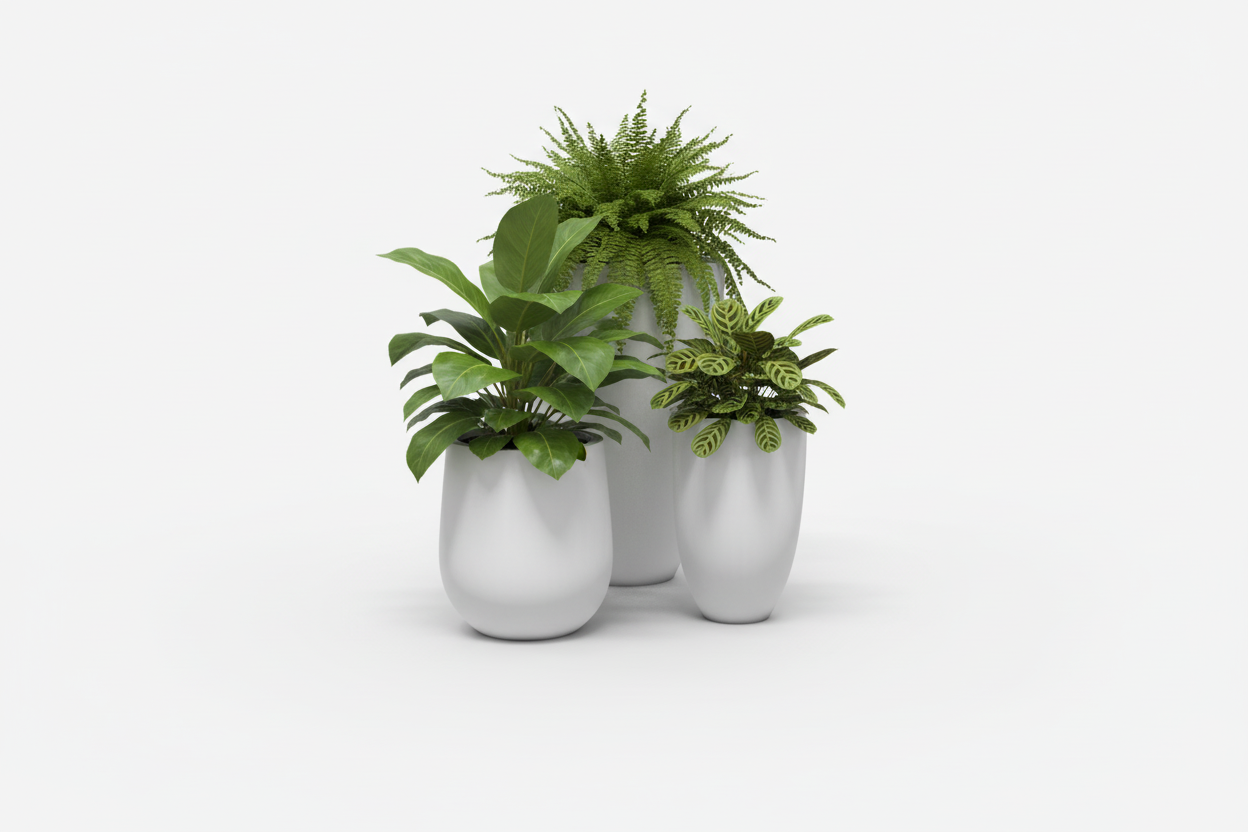 Brannan Tapered Round Planter
