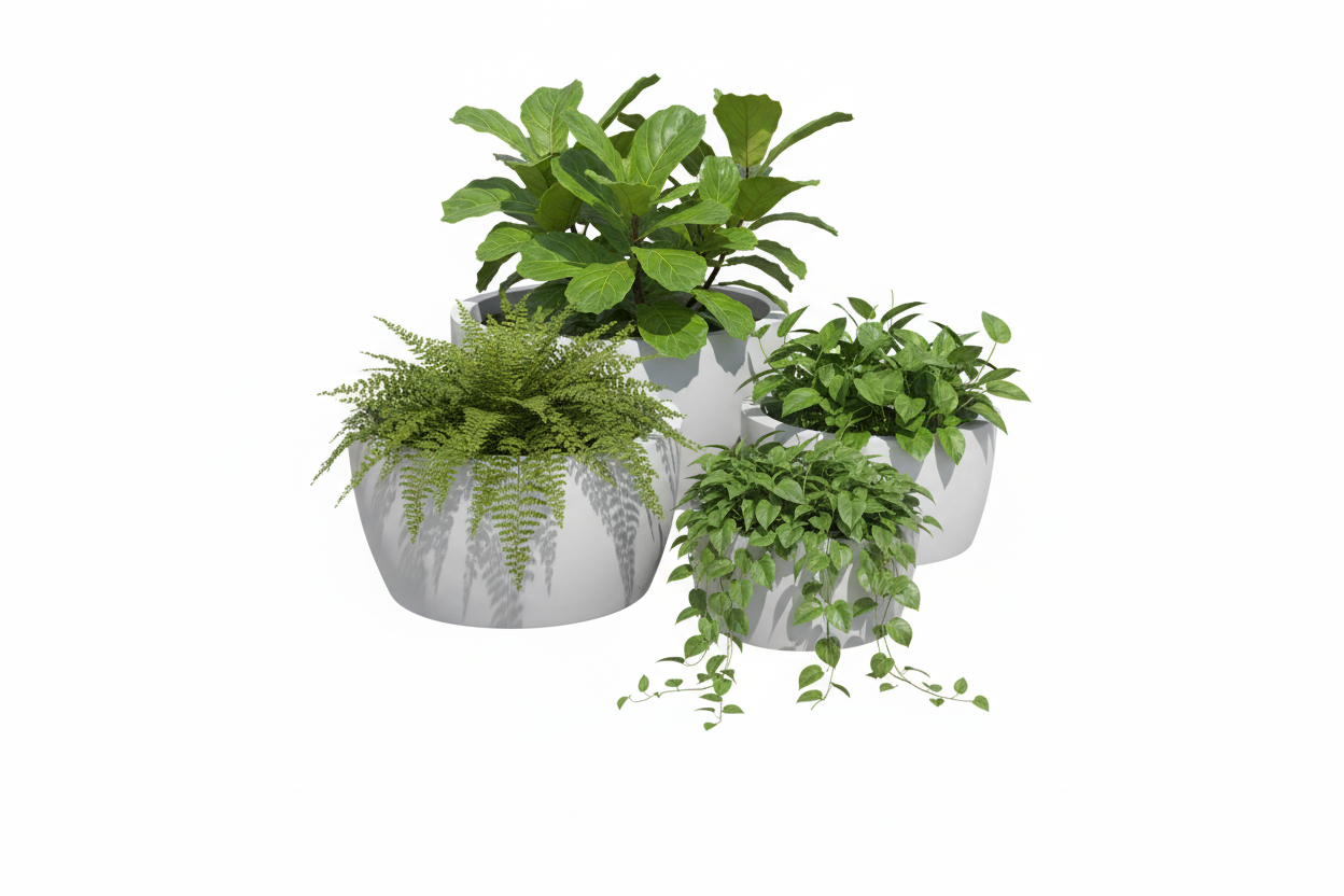 Casablanca Bowl Planter