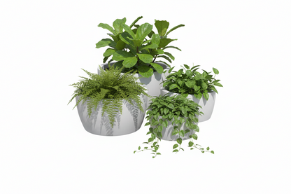 Casablanca Bowl Planter