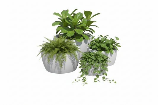 Casablanca Bowl Planter