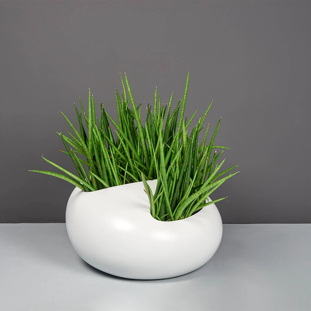 River Rock Planter (Medium)