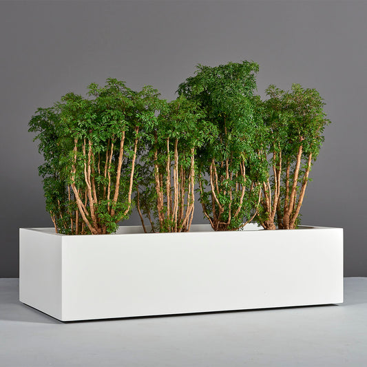 Antwerp Wide Rectangular Planter