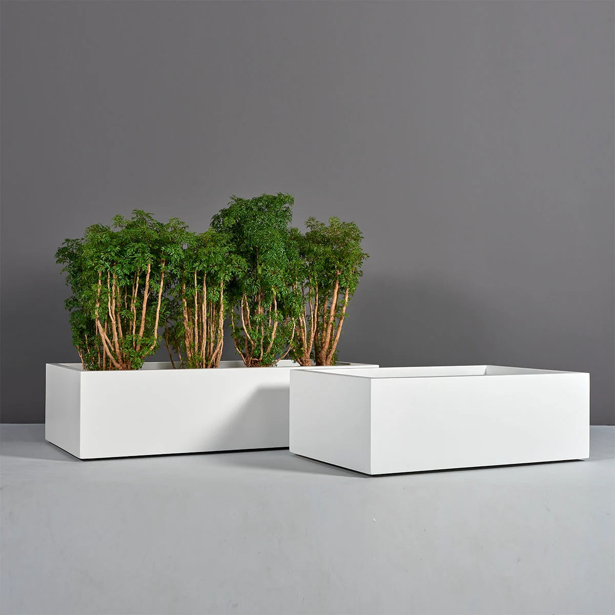 Antwerp Wide Rectangular Planter