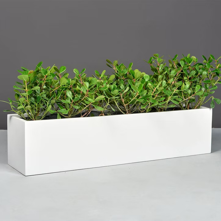 Vicksburg Rectangular Tabletop Planter