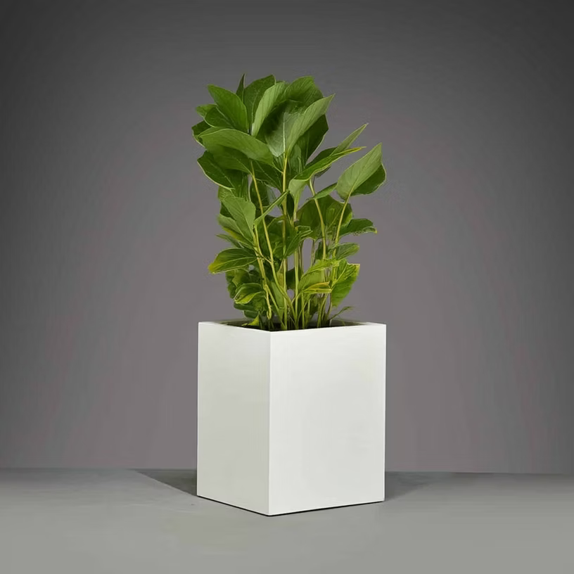 Brisbane Tall Corner Planter