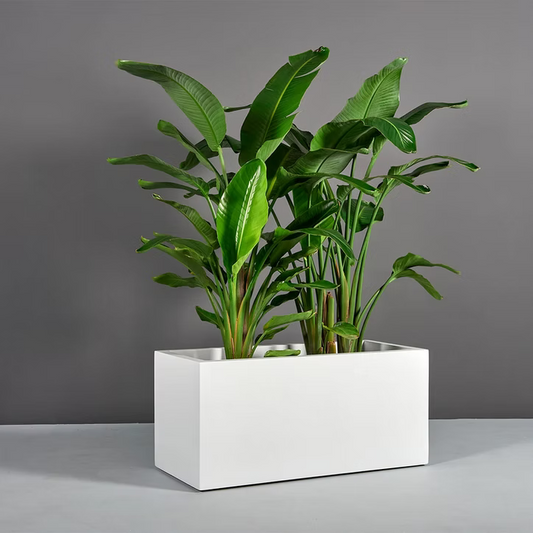 Narrow Rectangular Pot Rectangular – Coastal Pots and Planters