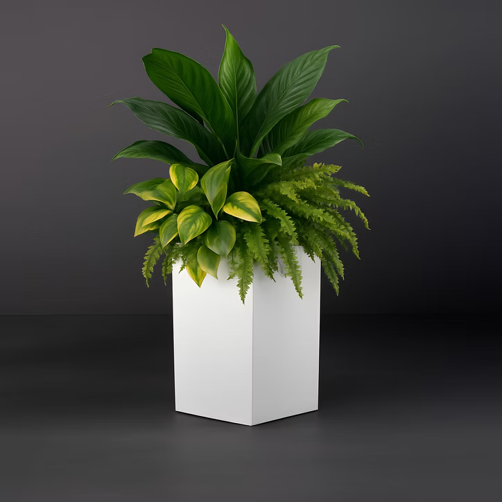 Tolga Corner Planter