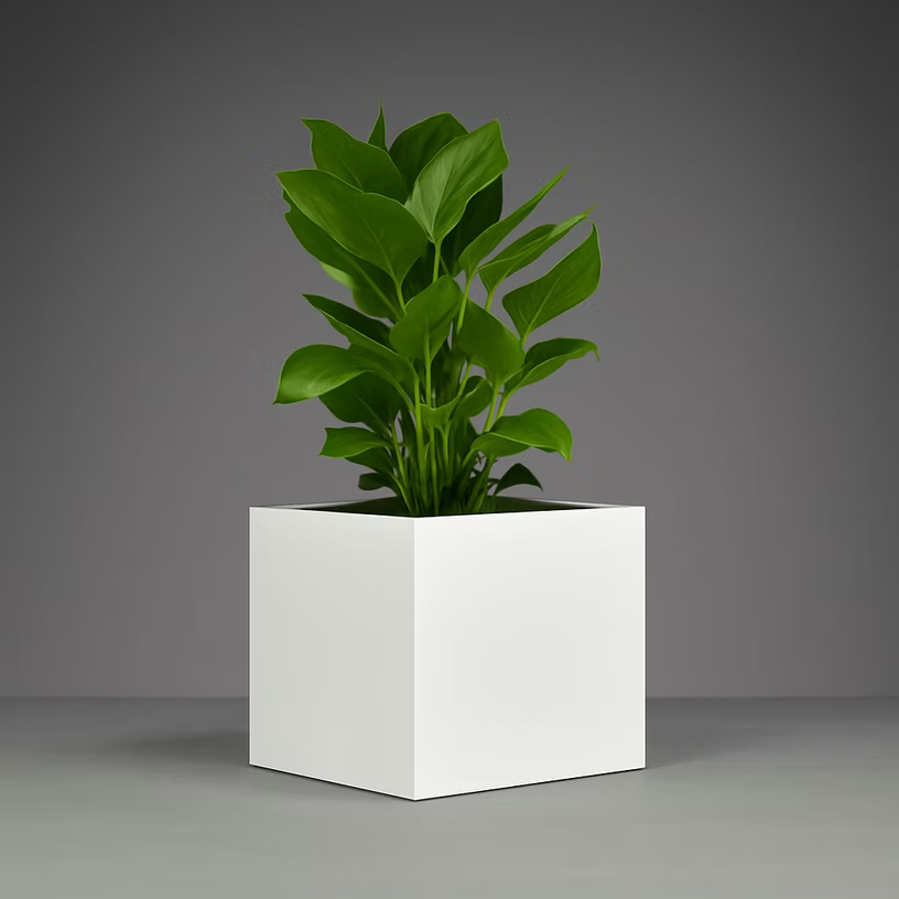 Antwerp Corner Planter