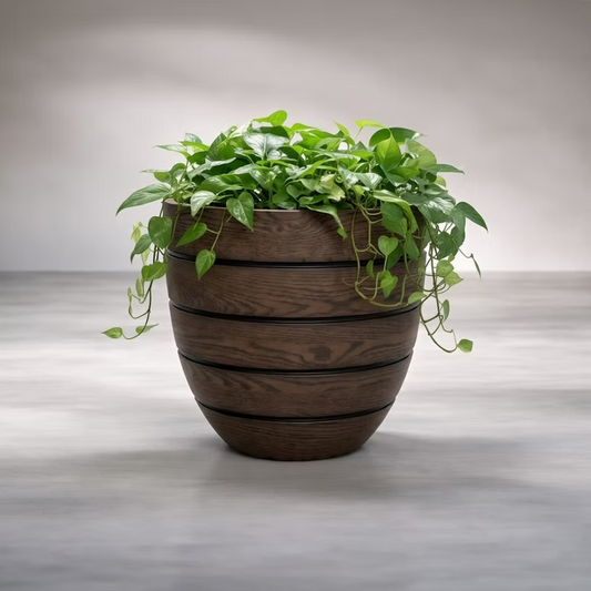 Woodland Aspen Planter