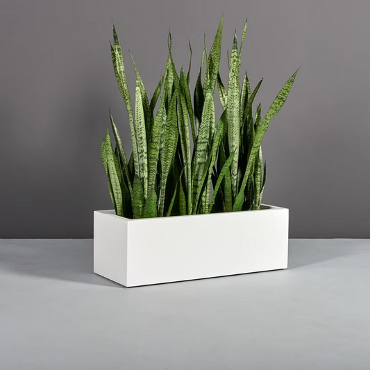 Narrow Rectangular Pot Rectangular – Coastal Pots and Planters