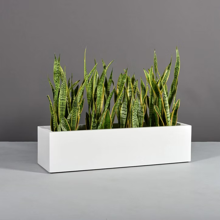 Cuba Low Rectangular Planter