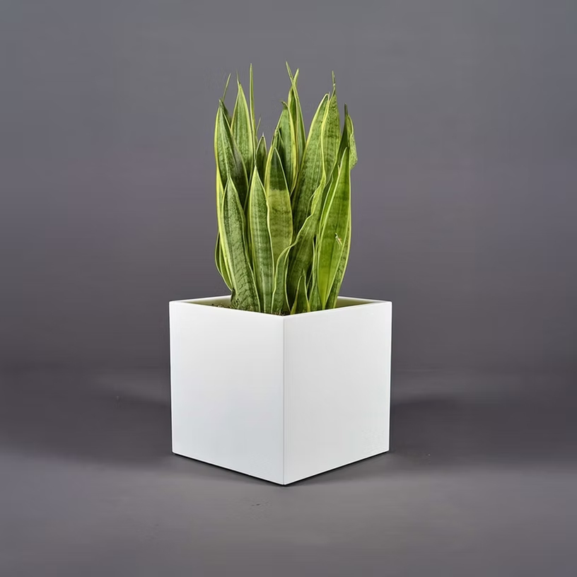 Cuba Low Corner Planter