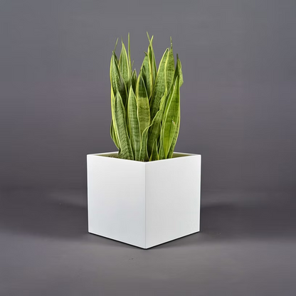 Cuba Low Corner Planter