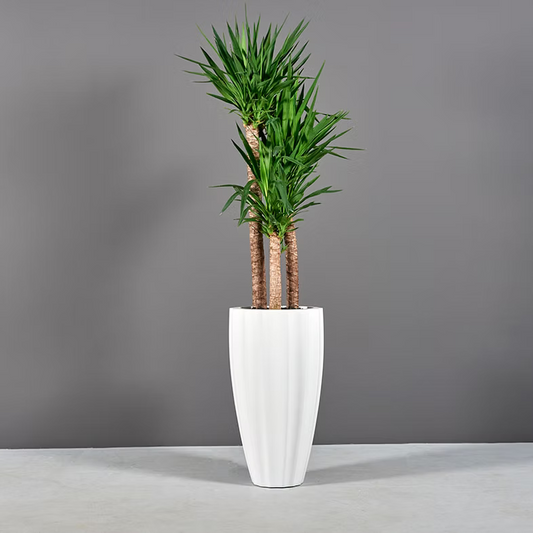 San Jose Tall Fluted Round Planter